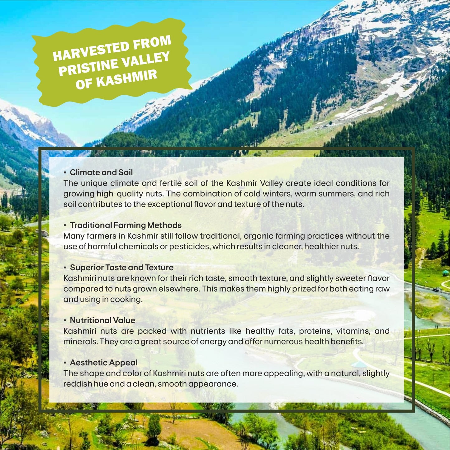 Pistachio Specifications