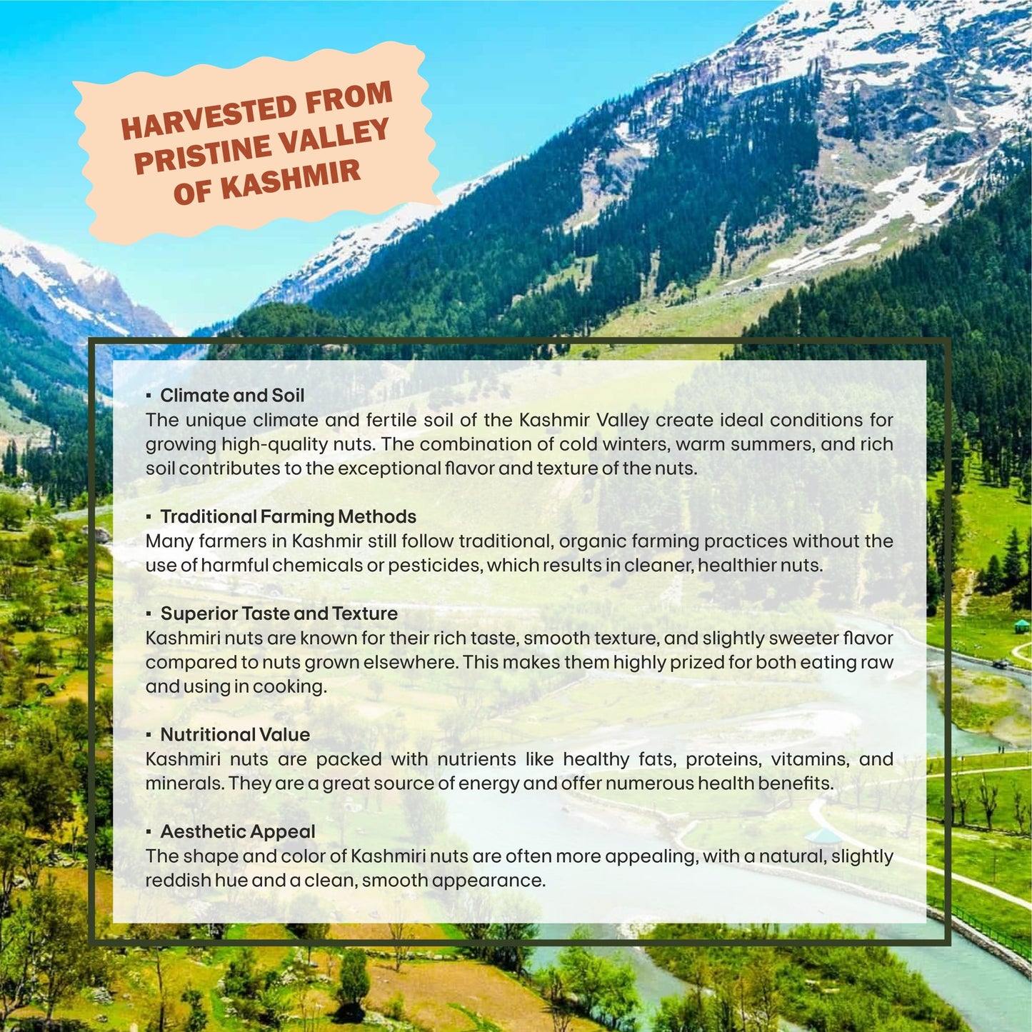 Kashmiri Almonds Specifications