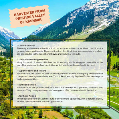 Kashmiri Almonds Specifications