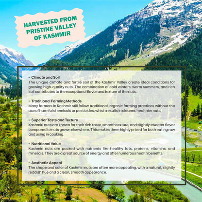 Berries Mix Specifications