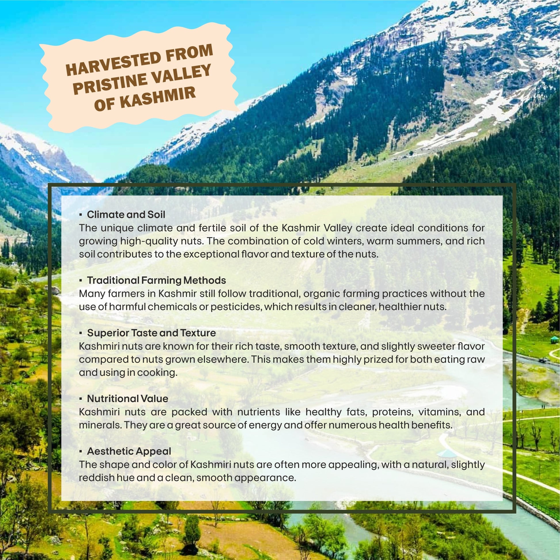 Walnut | Harvested from Pristine Valley