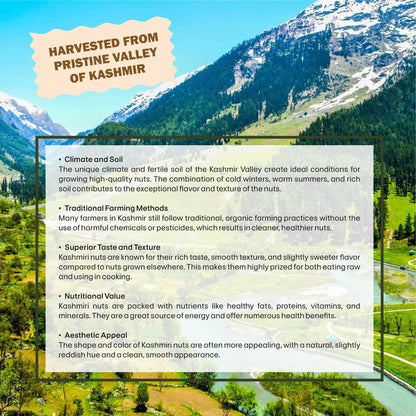 Walnut | Harvested from Pristine Valley