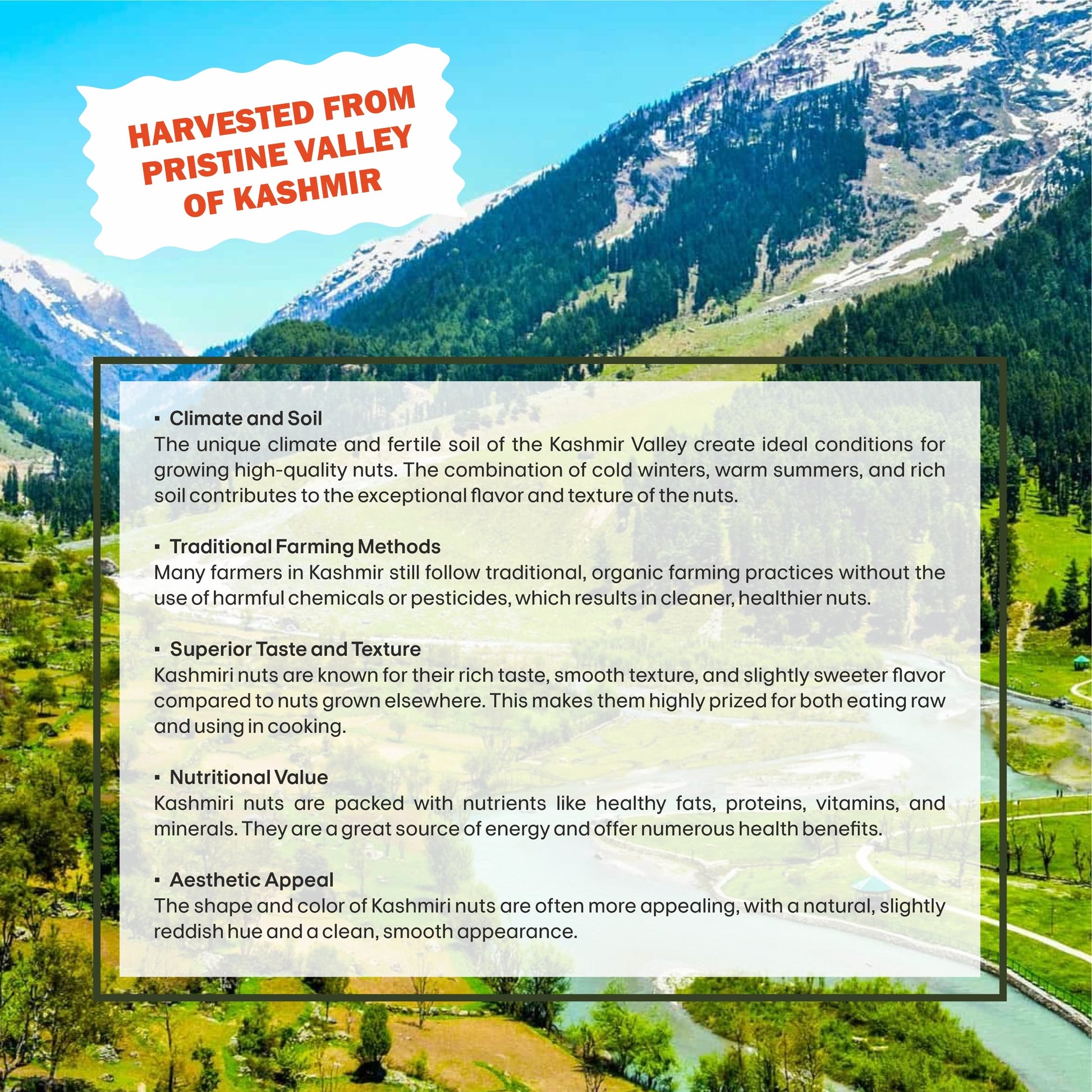 Apricot Specifications