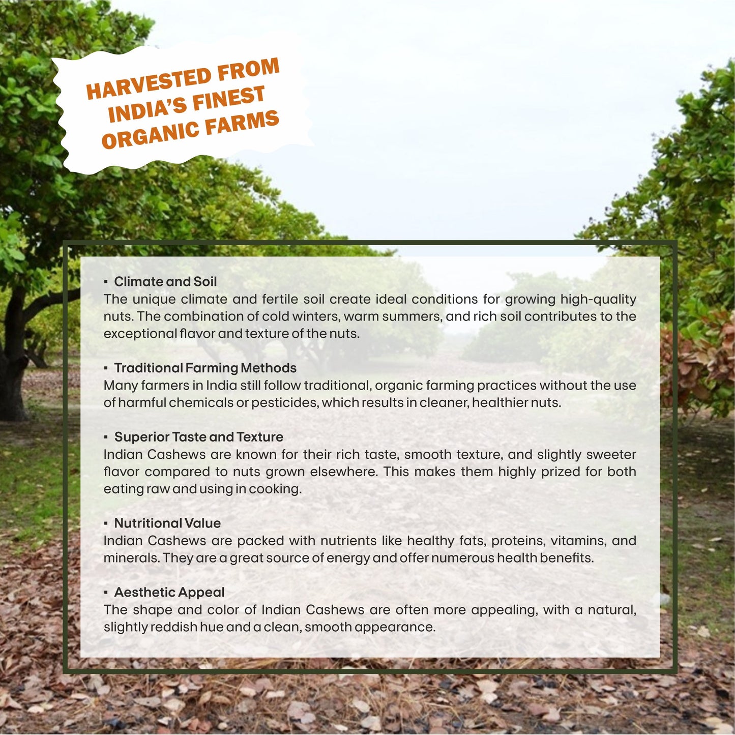 Finest Tangy Twist Cashew