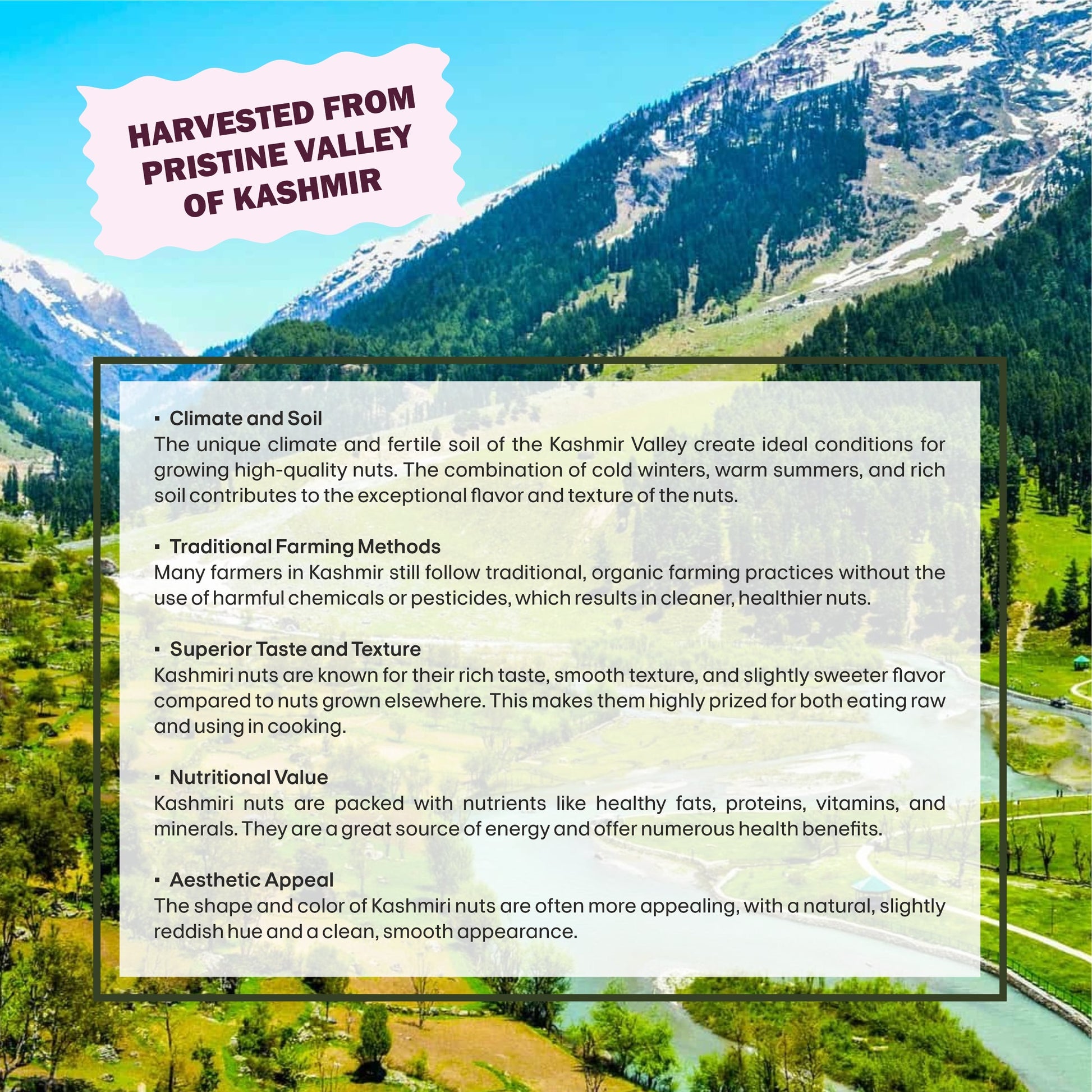 Blackberry Specifications