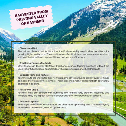 Blackberry Specifications