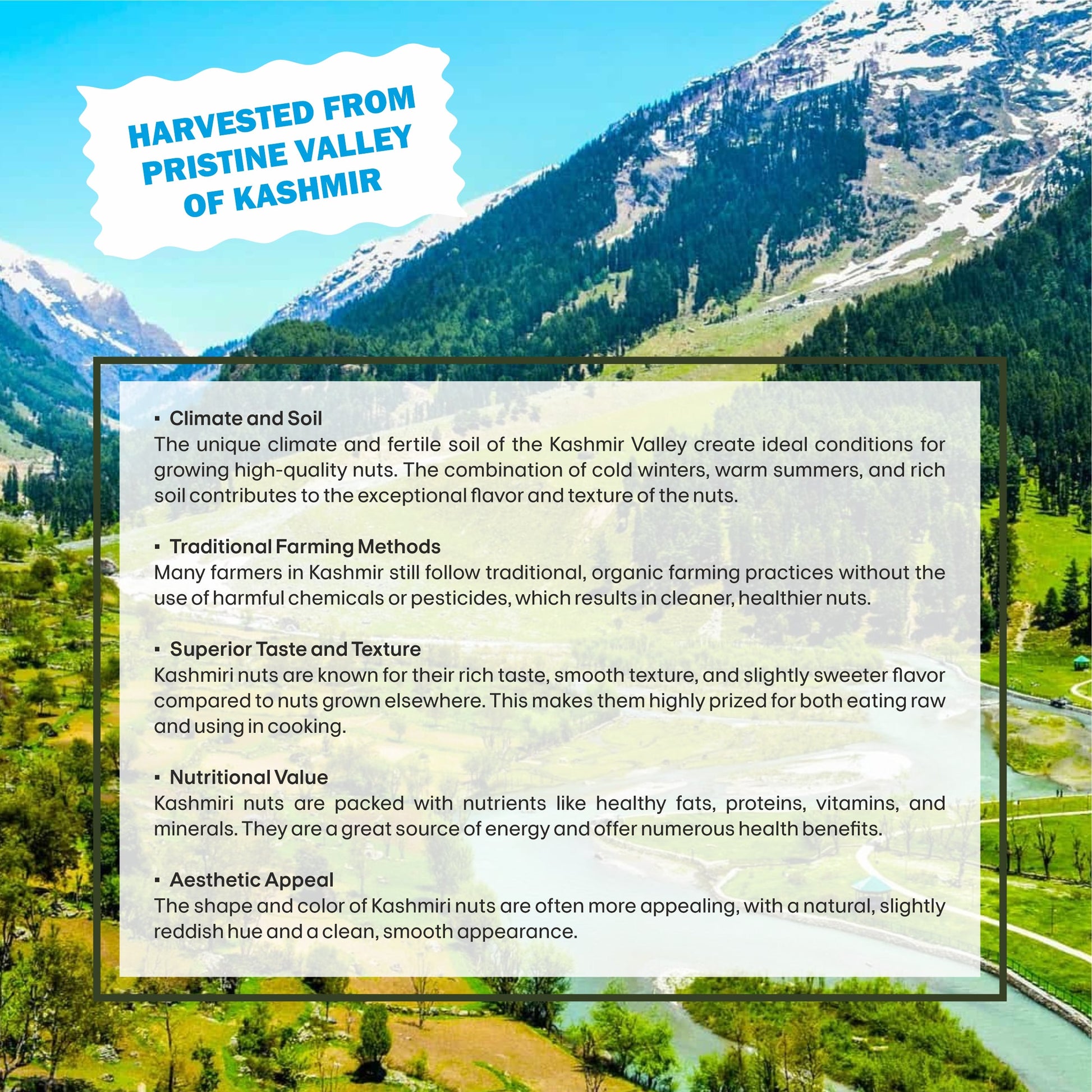 Kashmiri Cashew Specifications