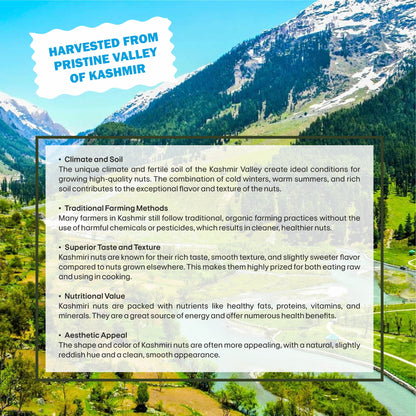 Kashmiri Cashew Specifications