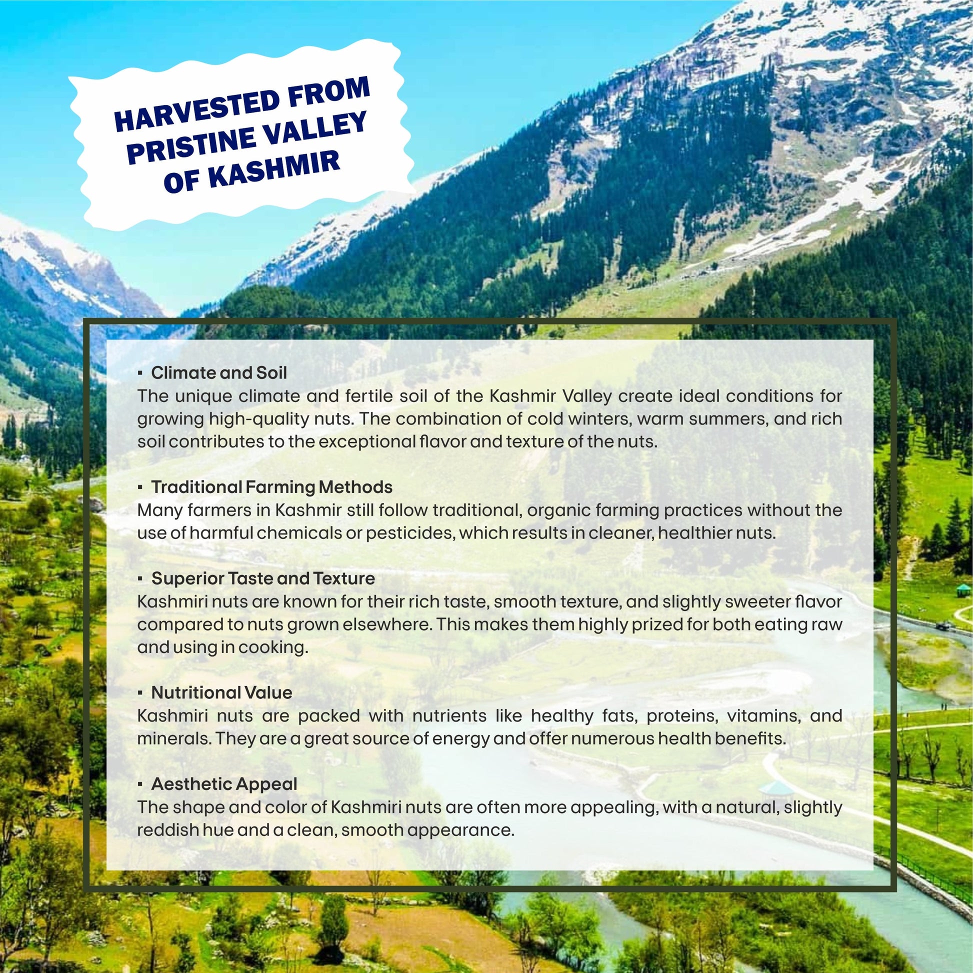 Blueberry Specifications